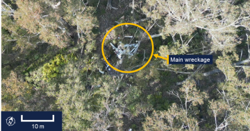 Pilot likely 'misjudged' cloud before fatal crash in national park, report finds