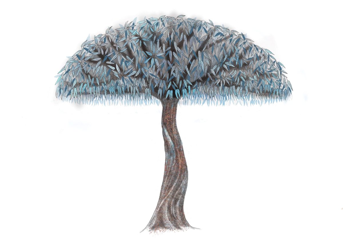 The completed design of the Cobargo Community Tree.