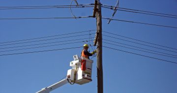 Leeton energy worker sacked after calling colleague ‘f****** dog’ reinstated with backpay