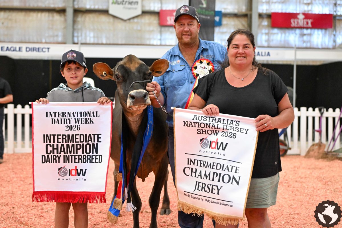 Aaron and Emma Salway with son Riley and a prize-winning cow.