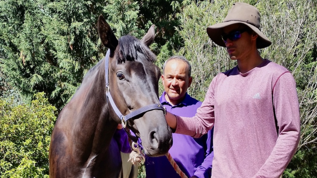 Dr Ivan with his son Mark and one of his thoroughbreds, Laird Louis. He and his wife Judith have three sons, David and twins Andrew and Mark.