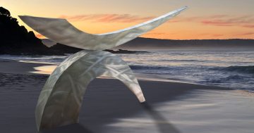 Swamped: Sculpture Bermagui marks 20th anniversary with record entries