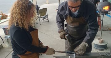 Cobargo Community Tree project reaches its final stages