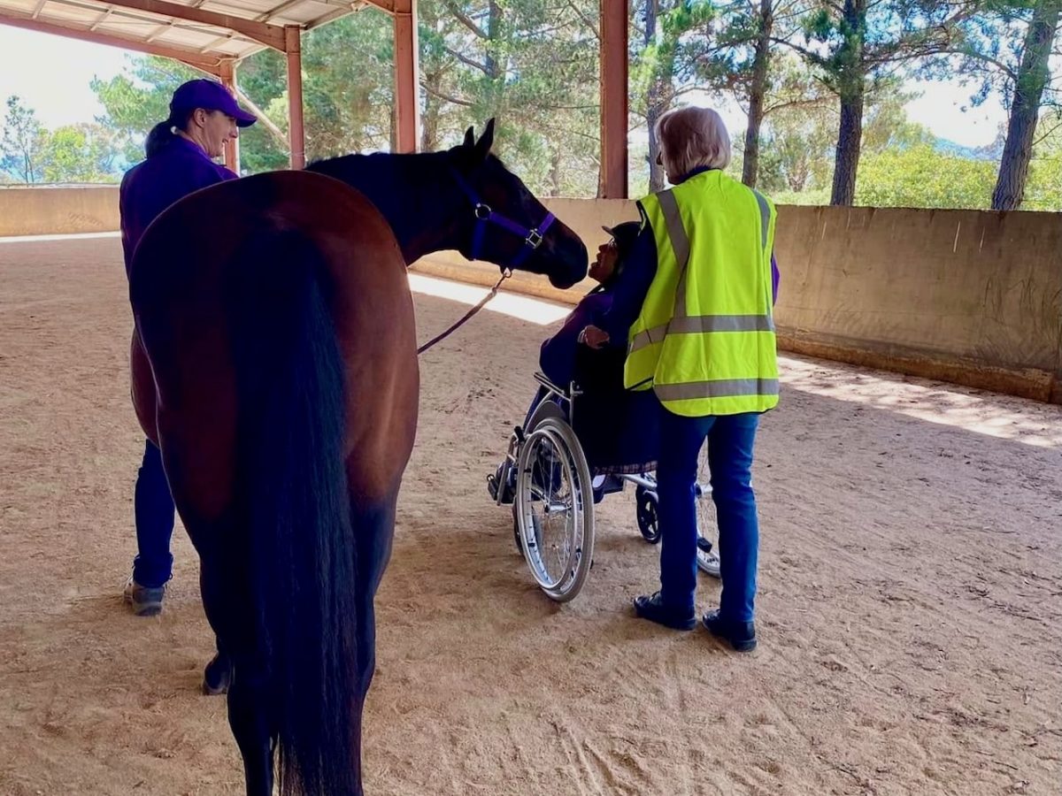 Indi, a stock horse mare is introduced to a wheelchair. In the wheelchair is Kath Cole who has provided facilities on the Rosemont Road on a free lease for 26 years for RDA. Volunteers Lil Ryan and Robynne Carwardine are alongside Indi.