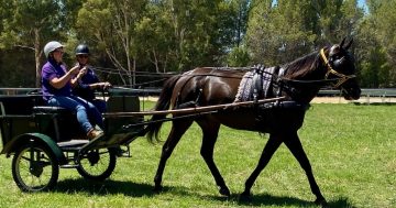 Big hearts take up reins behind RDA Goulburn’s $3 million upgrade