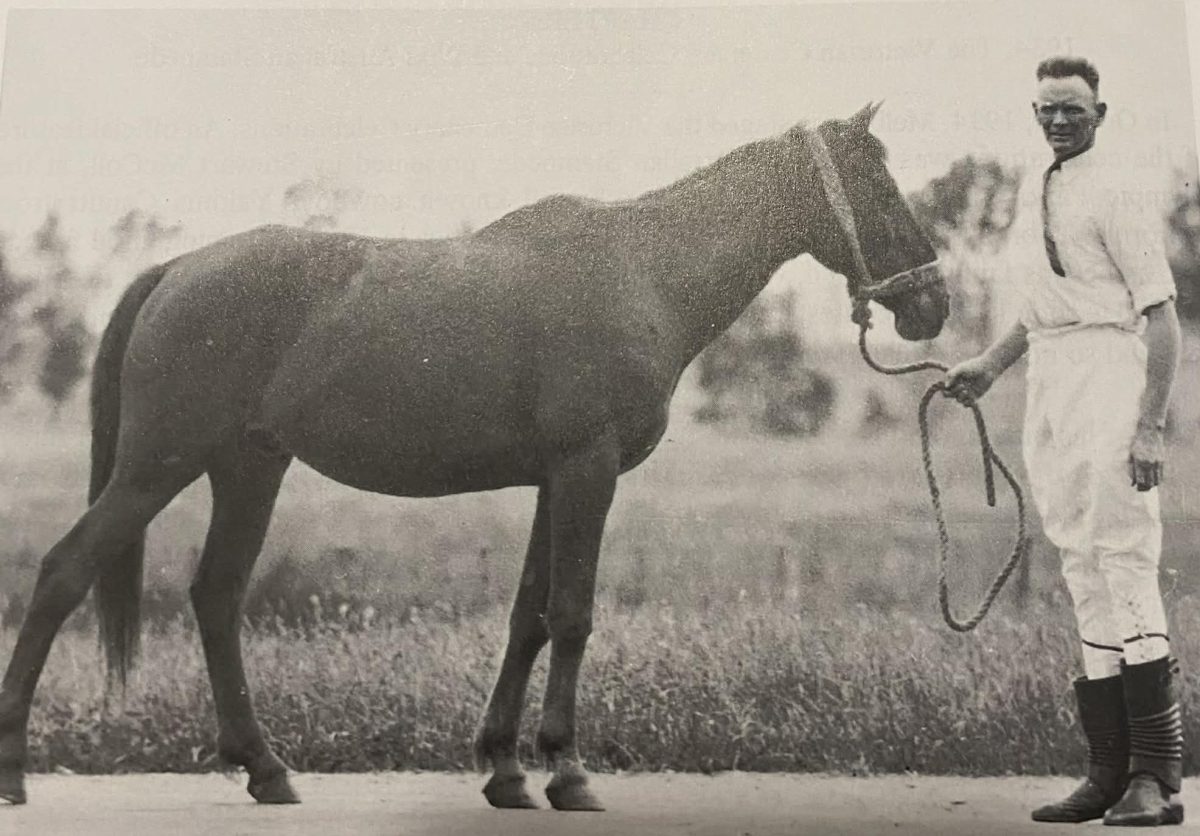 Rom Handley and Rocky Ned