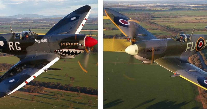 Warbirds Downunder 2026 cancelled as Temora Aviation Museum shifts to showcase days