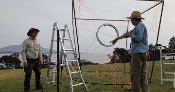 Swamped: Sculpture Bermagui marks 20th anniversary with record entries