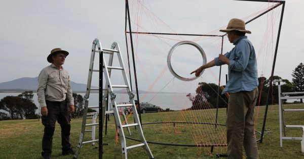 Swamped: Sculpture Bermagui marks 20th anniversary with record entries