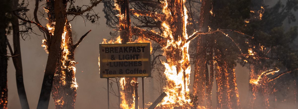 The Black Summer bushfires burnt 6.2 per cent of the state – the largest burnt area recorded in a single fire season in eastern Australia. Photo: NSW RFS.