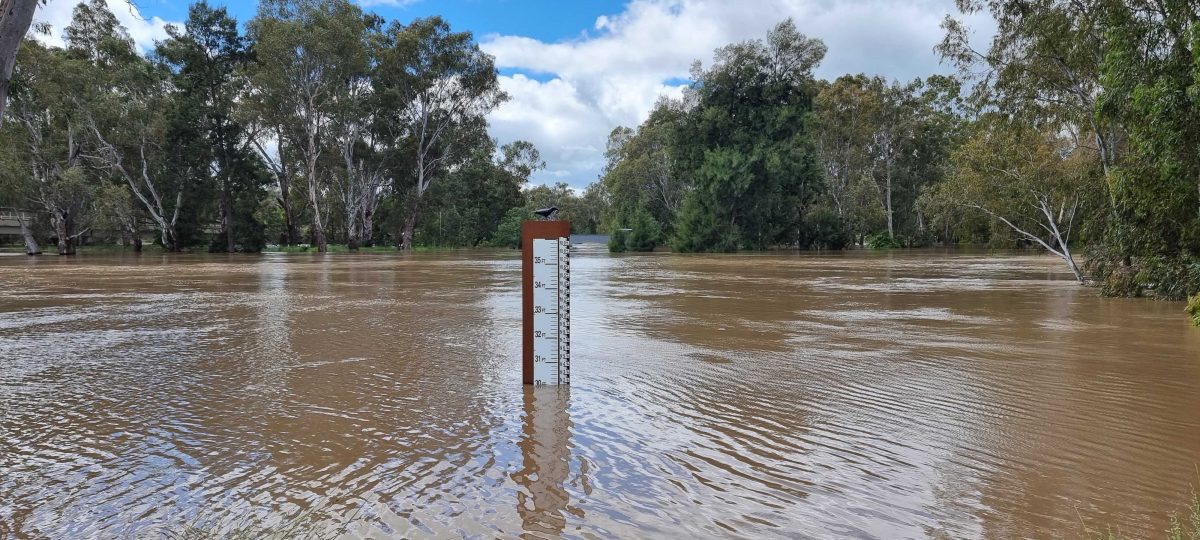 Wagga flood