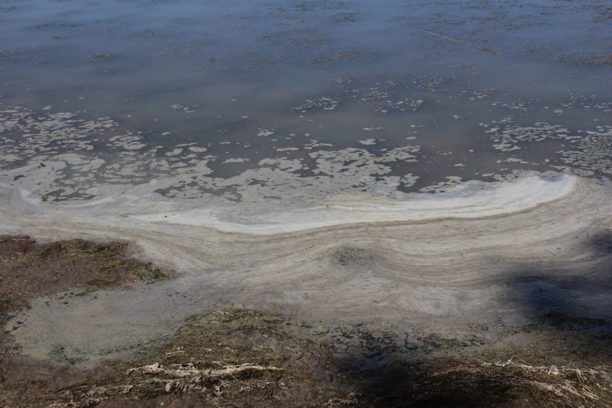 Dirty water in Lake Wyangan 