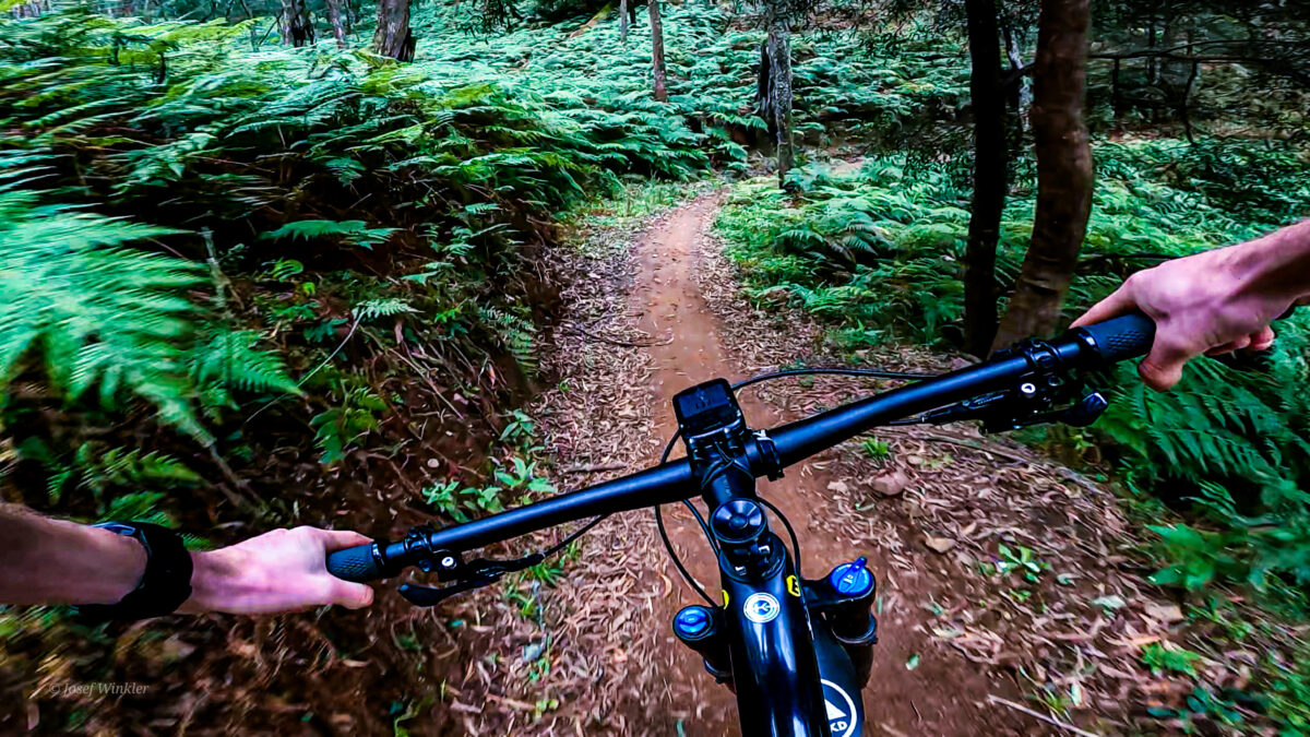 mountain bike riding along a designated trail