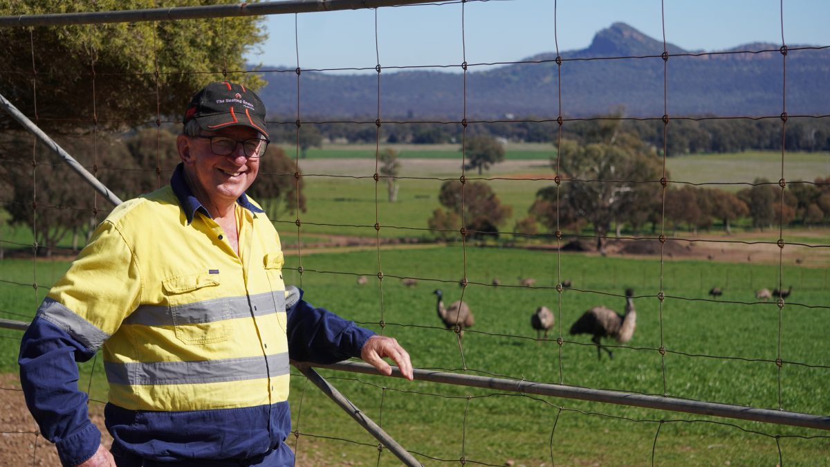 Ian Marston was one of a small number of emu farmers who held on after the industry folded in the 1990s