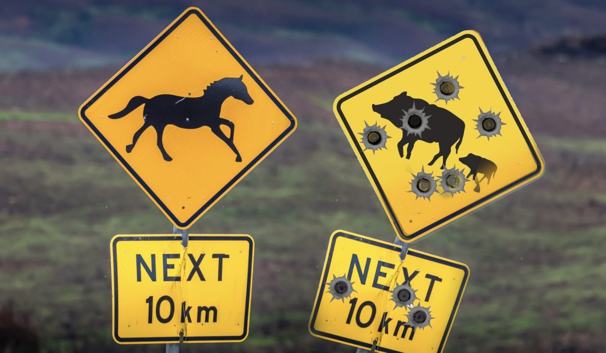 animal warning road signs