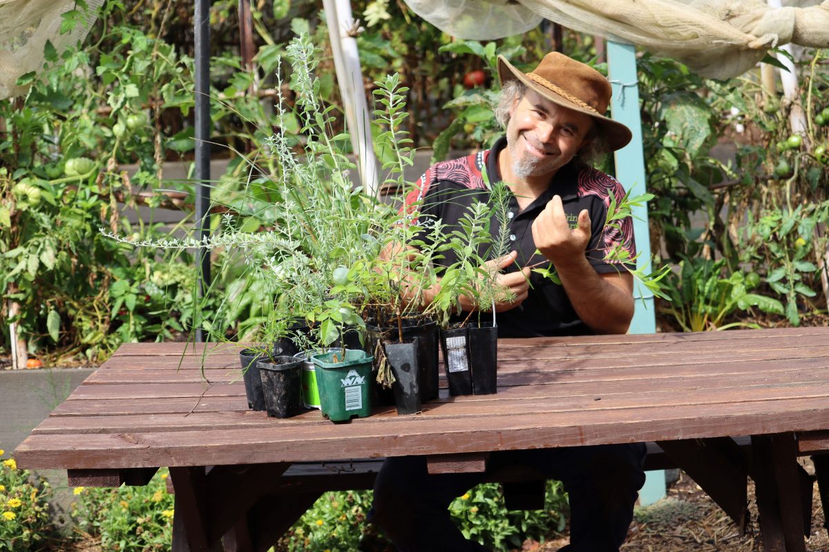 a man with pot plants