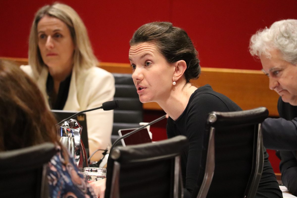 politician speaking at a parliamentary hearing