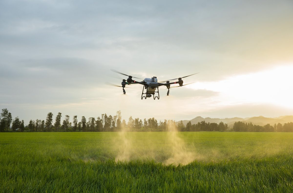 Field day visitors will get a hands-on experience with the AKRON Australia DJI T50 in the drone demonstration cage. 