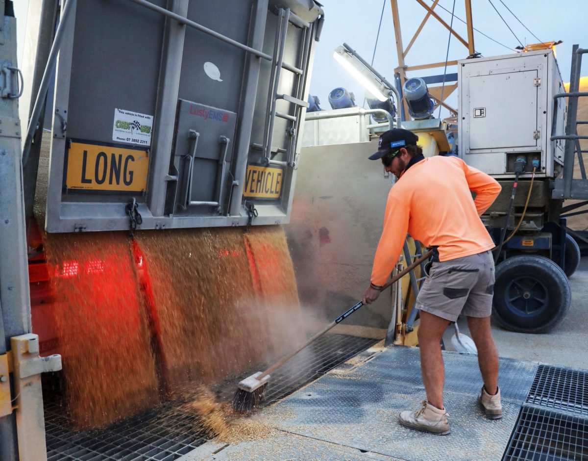 Grain handler