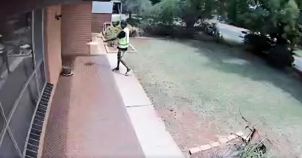 Courier throwing parcel 