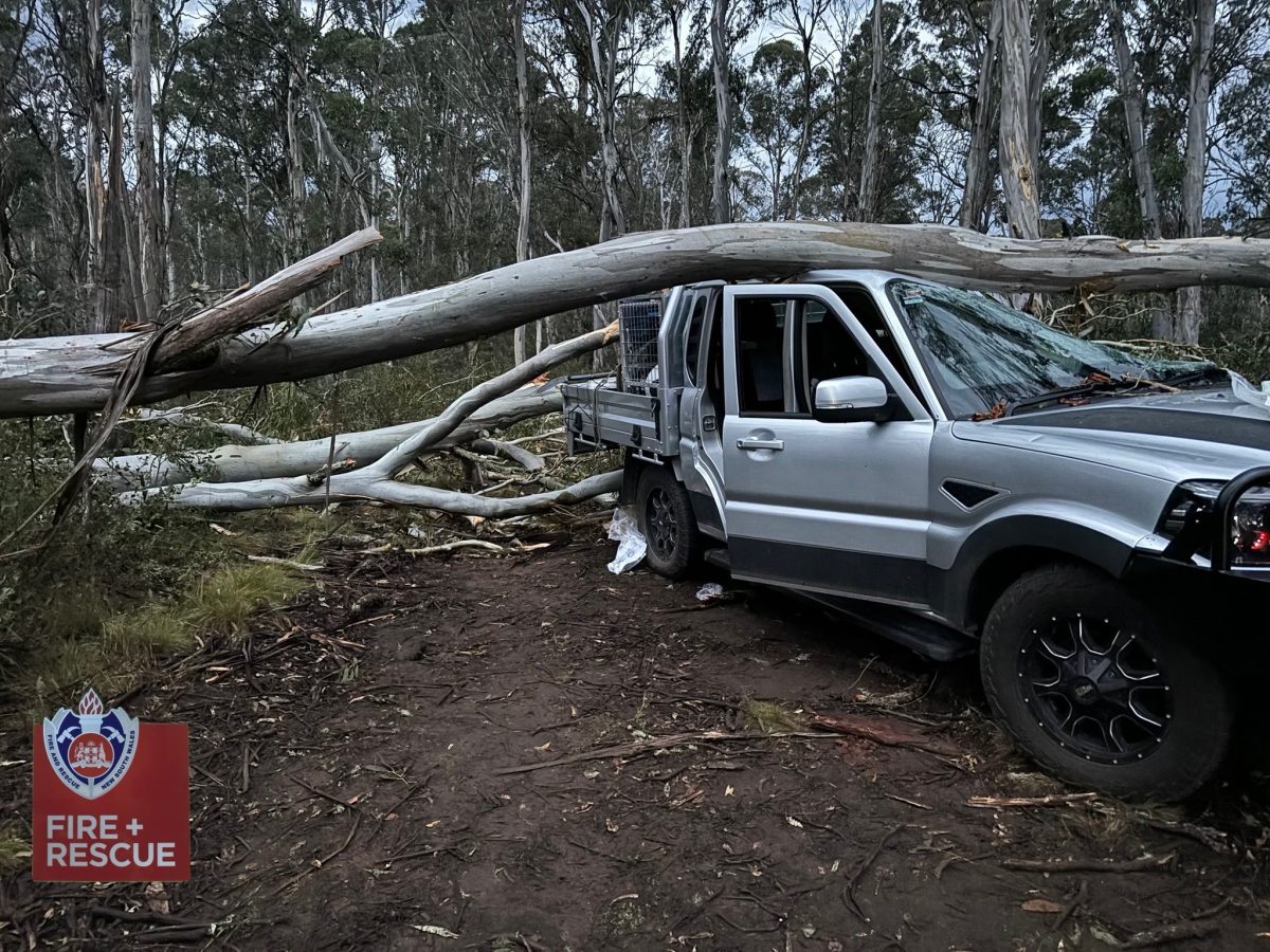 Fire and Rescue NSW responded to a challenging remote area rescue operation between Tumbarumba and Batlow. 