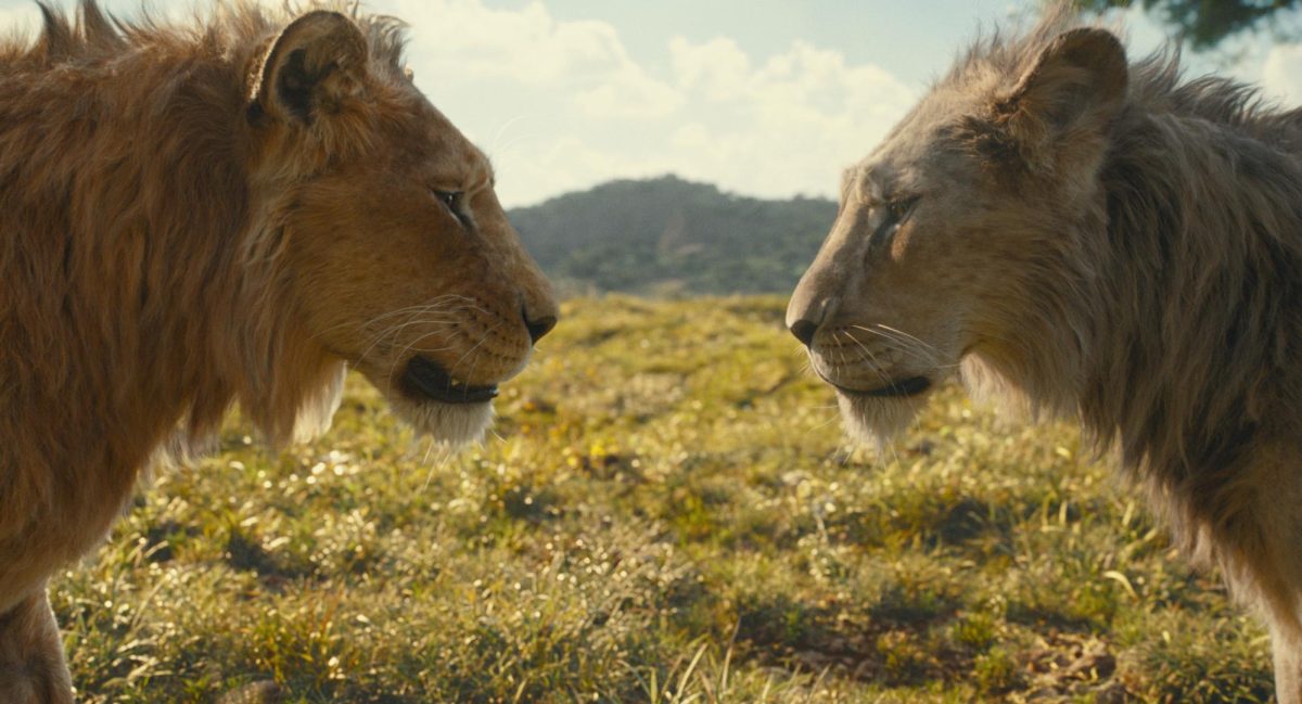 lions in movie animation