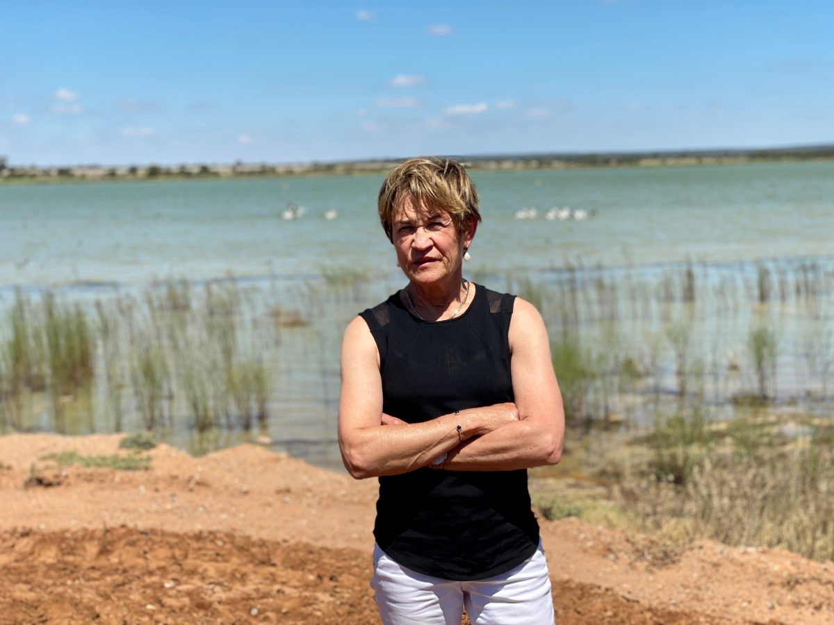 Murray MP Helen Dalton has accused the State Government of water theft. 