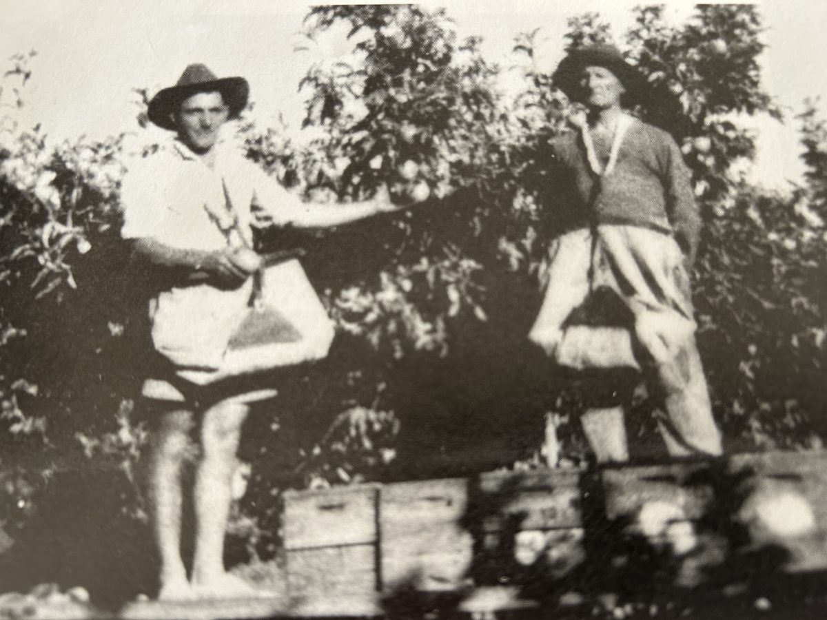 Old photo of two farmers