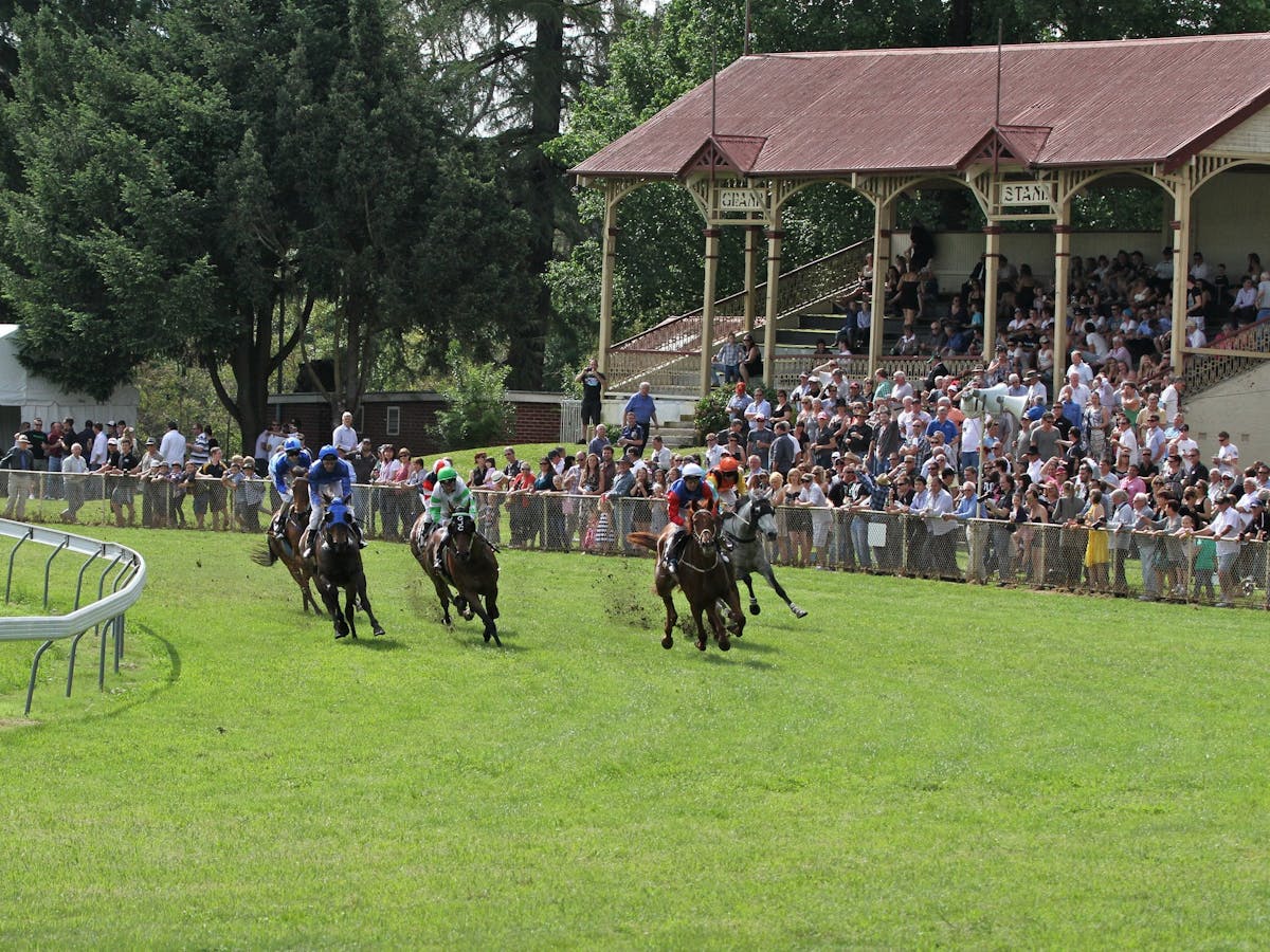 Tumut Boxing Day Races