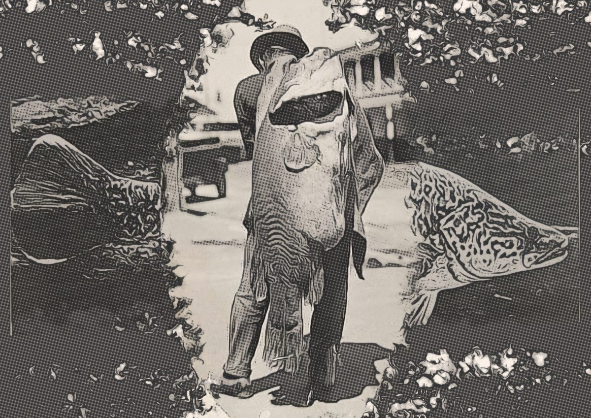 Postcard from 1924 shows the 44 kg cod caught near Corowa.