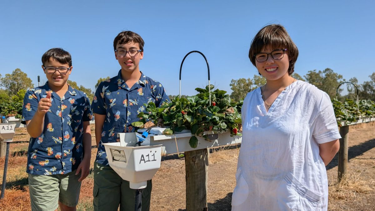 Daniel, Benjamin and Esther have just returned from the Tamworth Country Music Festival where they competed in the Toyota Busking Championships.