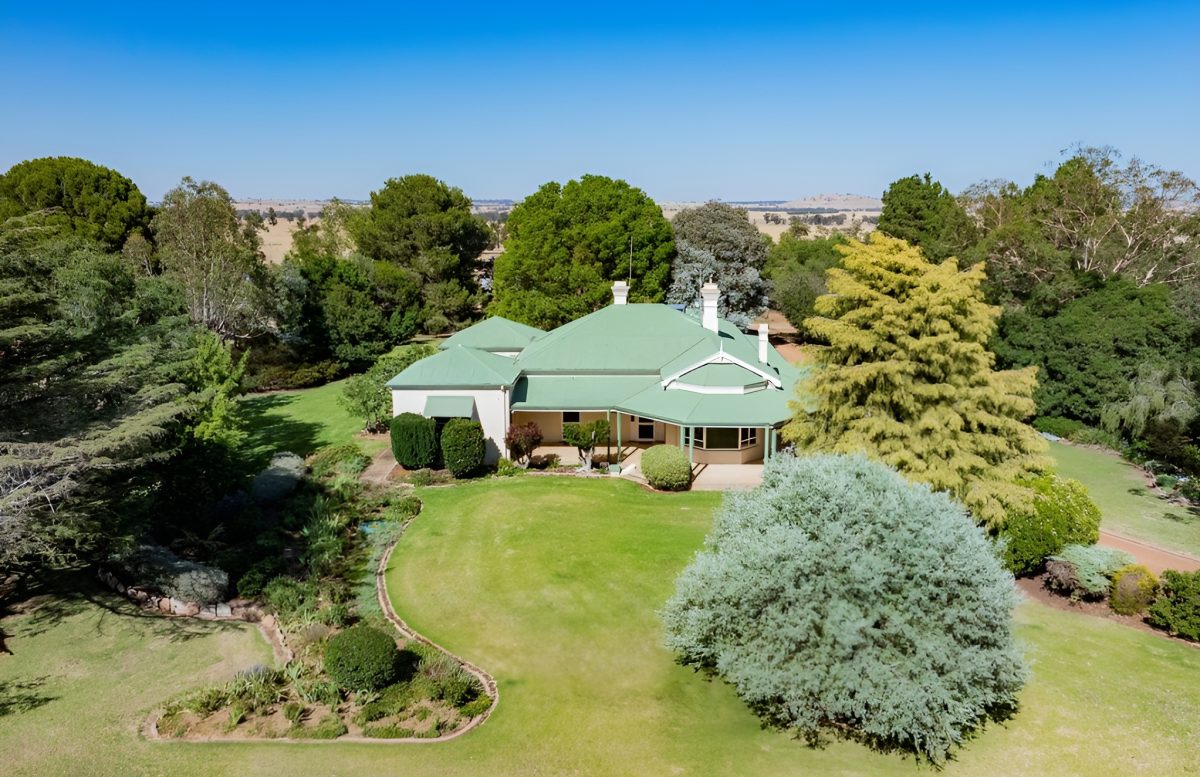 homestead surrounded by trees and lawn